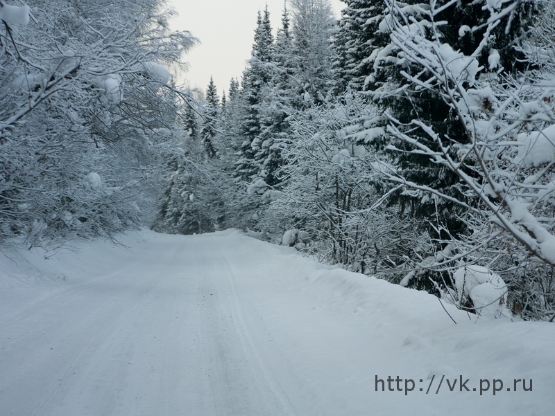 по дороге обратно