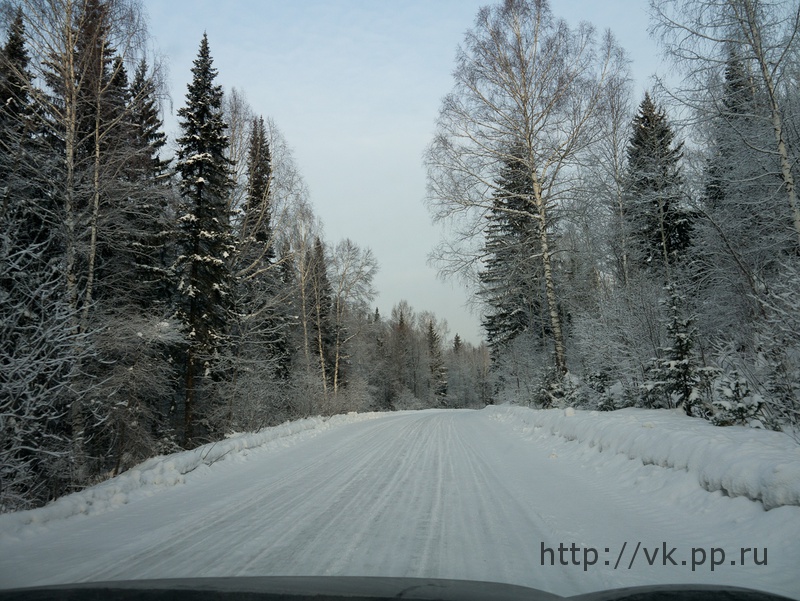 по дороге туда