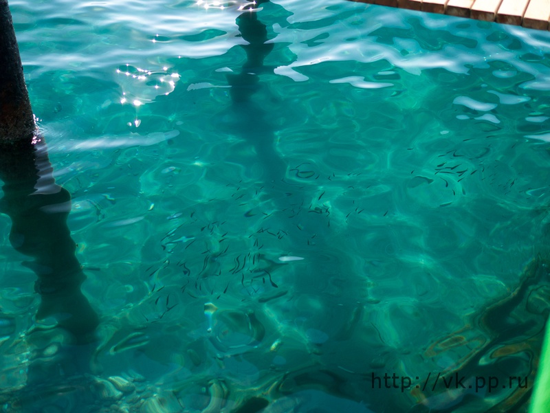 Глубина 3+ метра, а дно видно