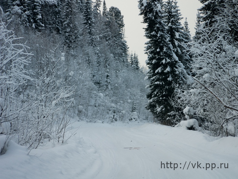 по дороге обратно