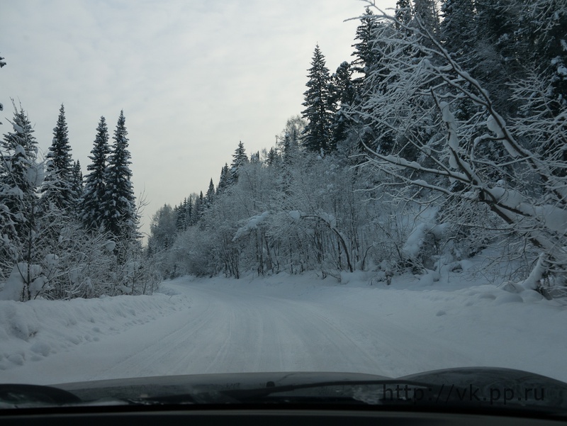 по дороге туда