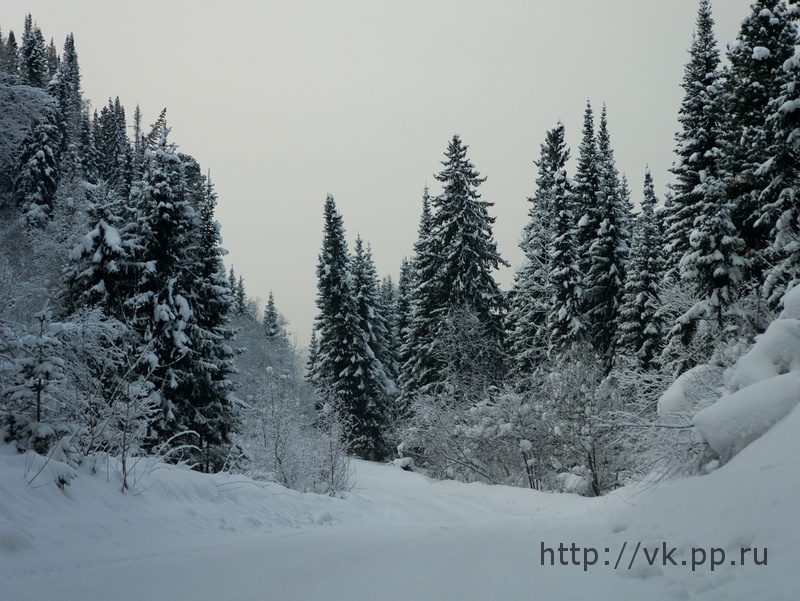 по дороге обратно