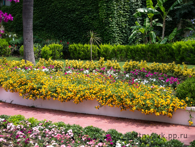 Цветы перед отелем