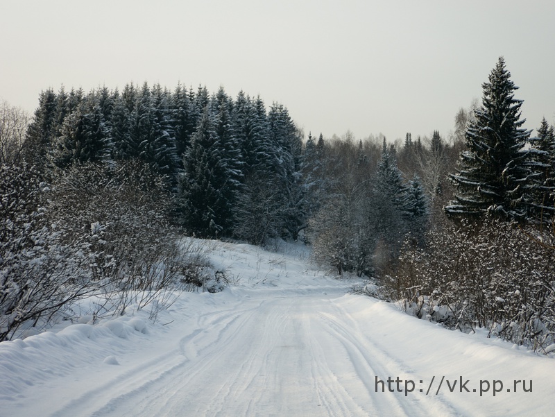 по дороге обратно