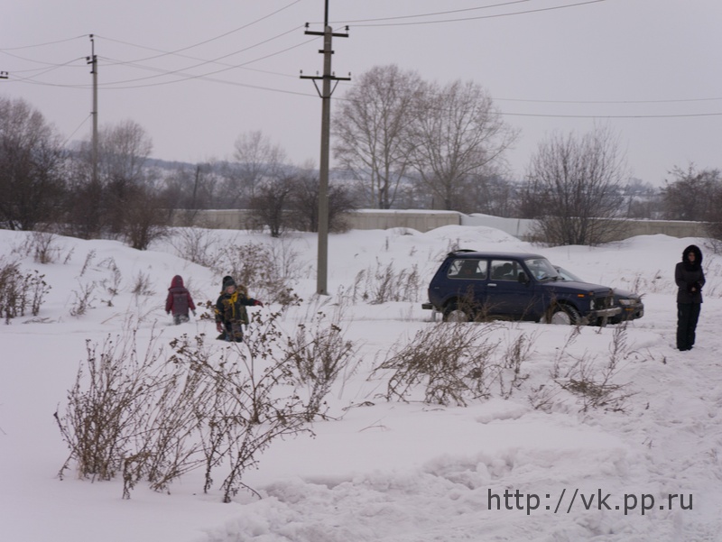 Детки мучают мышь