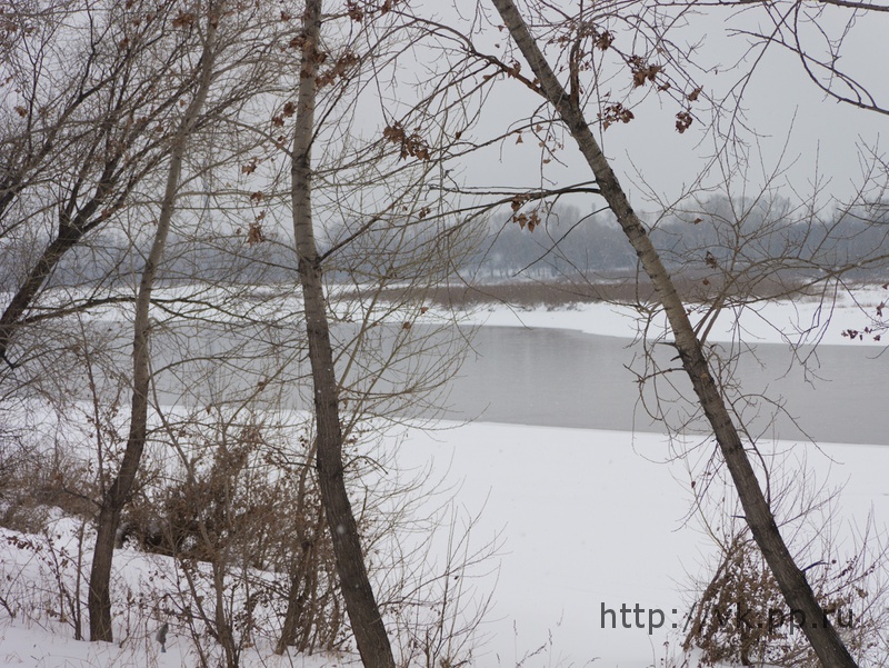 Доехали до речки
