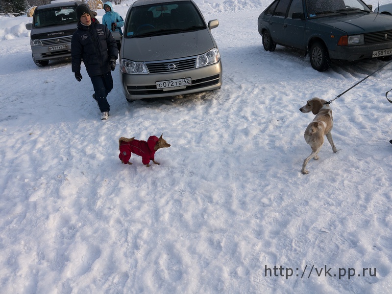 хотят познакомиться