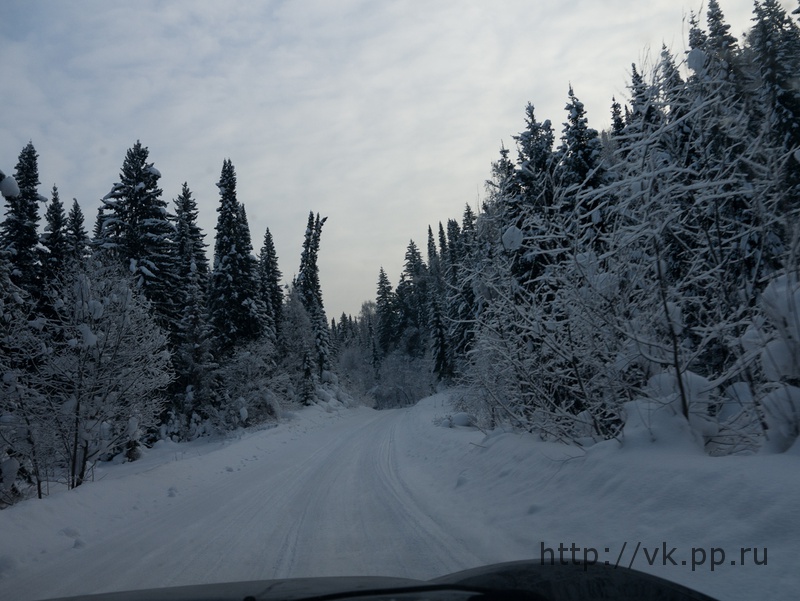 по дороге туда