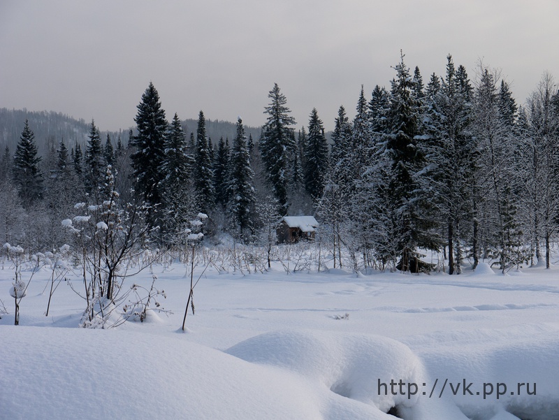 вдали избушка с терсинкой