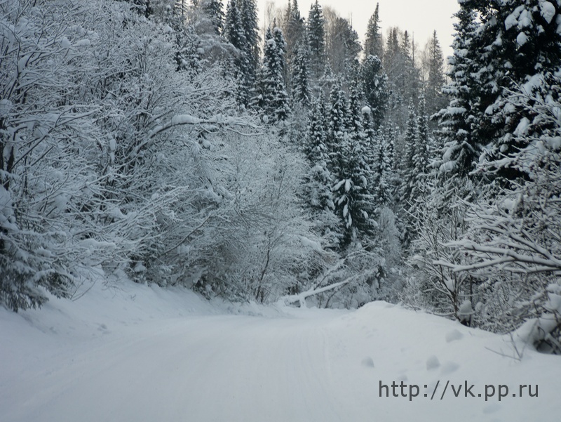 по дороге обратно