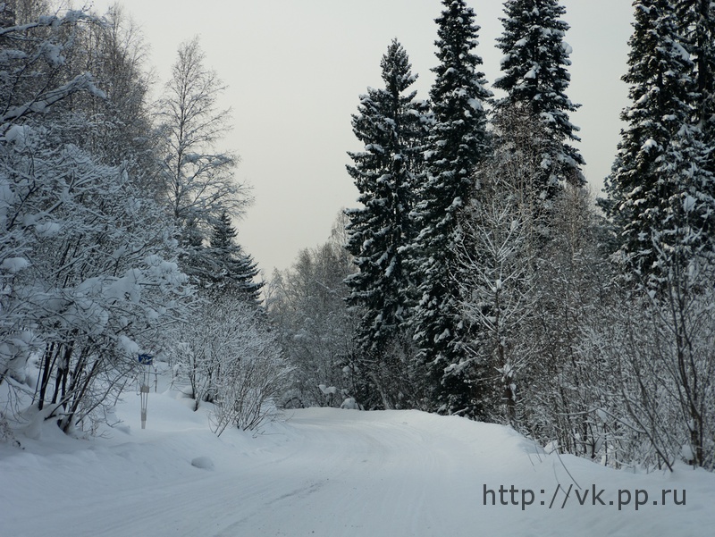 по дороге обратно