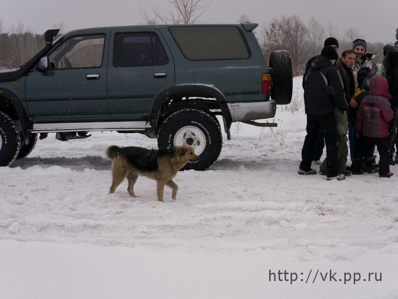 Шашлык прибежал