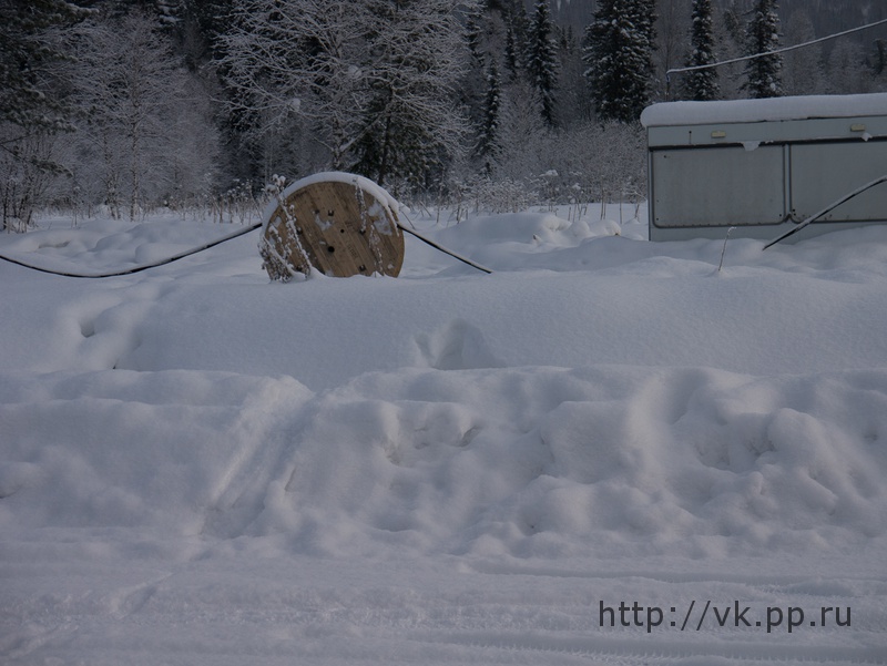 вырвалась, прыгнула
