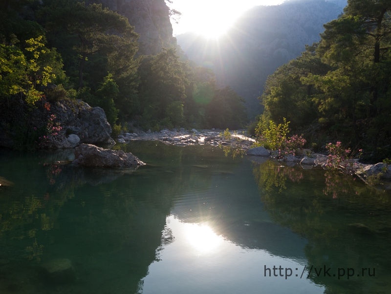 Тут текла речка