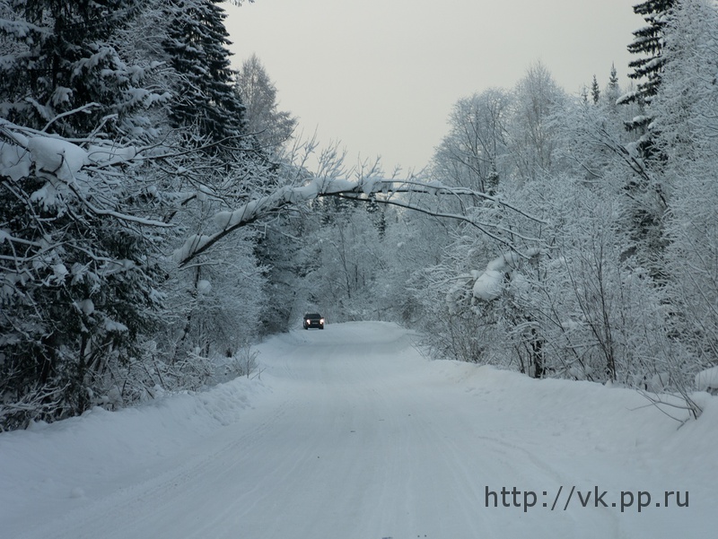 по дороге обратно