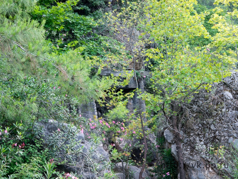 Что-то рукотворное в кустах