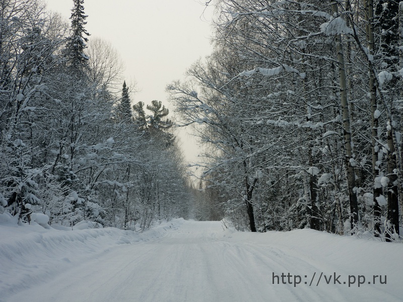 по дороге обратно
