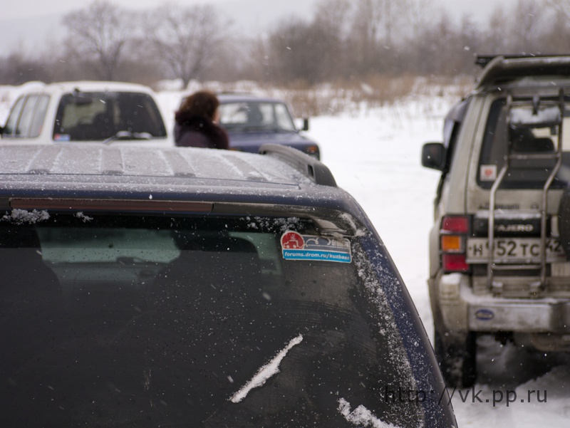 Wiggum Subaru Forester