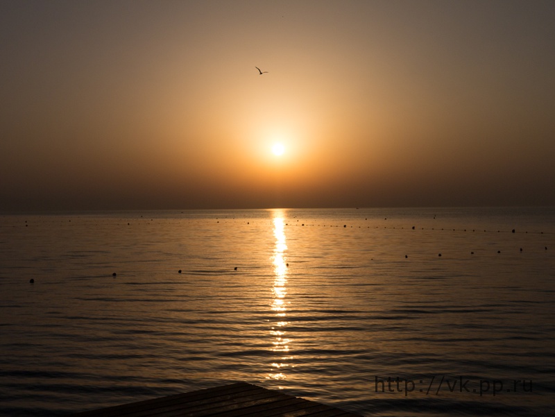 Солнце встало